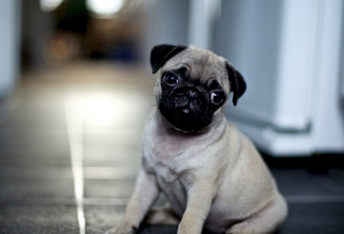 1689288350972640.png image.png