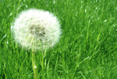 ​lol好听的游戏id(精选910个)