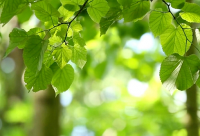 ​很有意思的适合当游戏的昵称(821个)