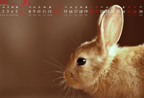 1689290681898522.png image.png