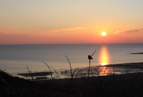 1689295008244560.png image.png