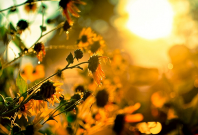 ​很霸气有吸引力的游戏名字(优选803个)