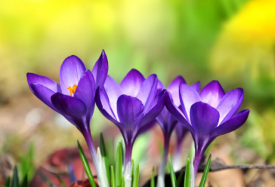 ​比较好玩的游戏名(729个)