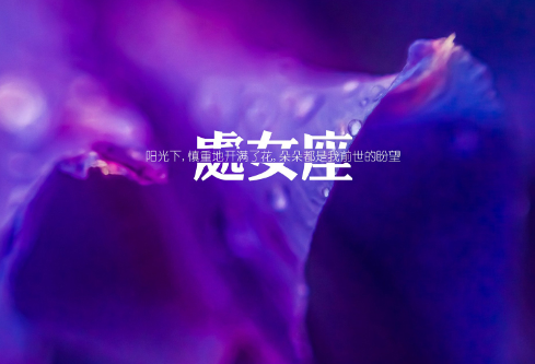 1689302999869057.png image.png