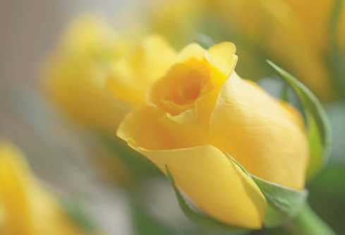 1689316316211571.png image.png