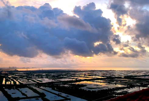 1689335805946999.png image.png