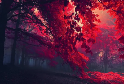 ​唯美有意境的游戏名字(563个)