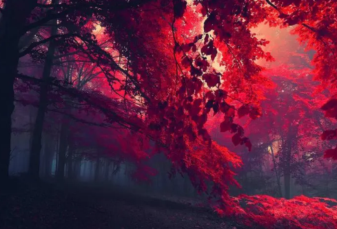 1689336305490949.png image.png