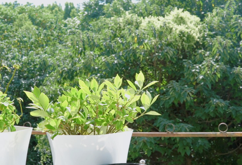 1689338970638327.png image.png