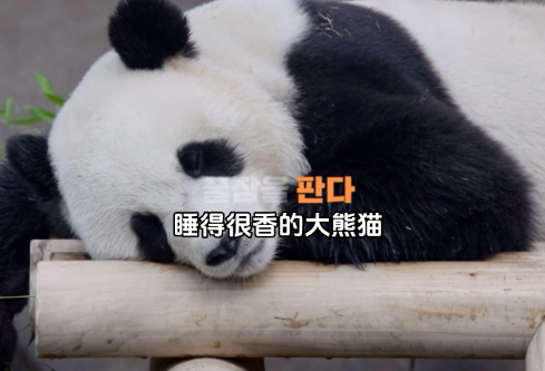 1689339302871208.png image.png