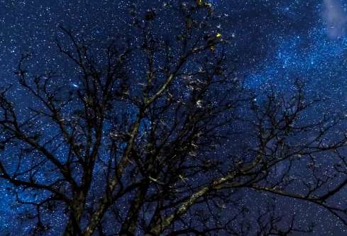 1689340968403639.png image.png