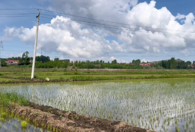 ​诗意感很强的7字游戏名字(优选416个)