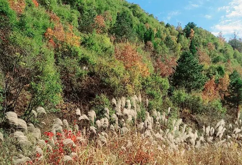 1689882564339998.png image.png