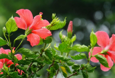 ​超拽情侣霸气冷酷游戏名(共373个)