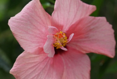 ​高甜的双人简约情侣昵称两个字(603个)