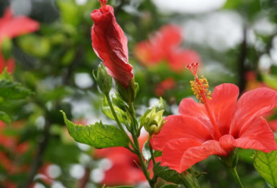 ​全新好看的情侣昵称两个字(共559个)