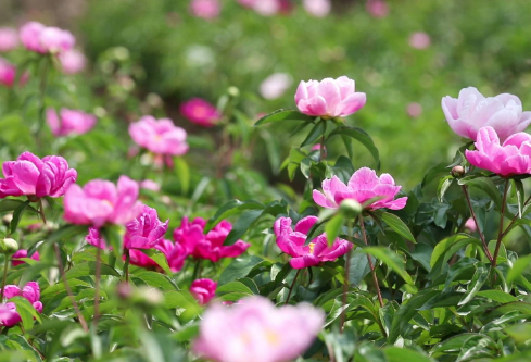 1689899236201582.png image.png