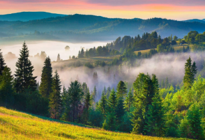 ​四个字的情侣名字大全(精选380个)