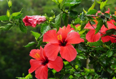 ​超级甜蜜的最新版的情侣昵称(优选378个)