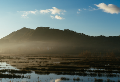 ​七夕情人节秀恩爱情侣网名(353个)