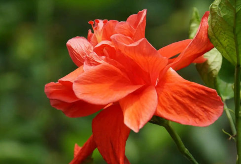 1689909064144351.png image.png