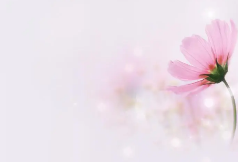 1689909564526006.png image.png