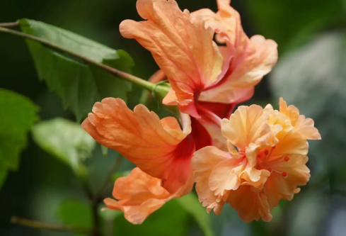 1689909731224507.png image.png