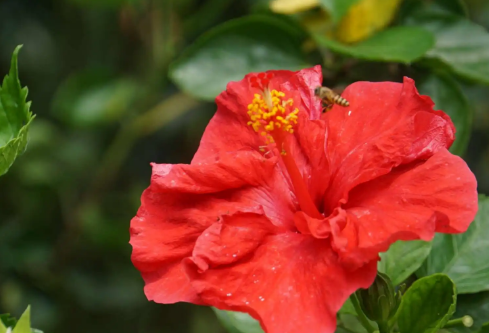 1689910730928071.png image.png