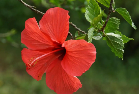 1689911230296316.png image.png