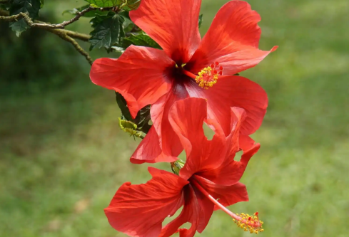 1689911729443466.png image.png