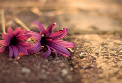 ​独一无二霸气网名大全女生(共440个)