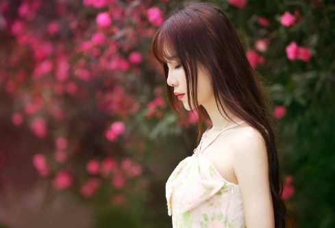 1690002794869746.png image.png