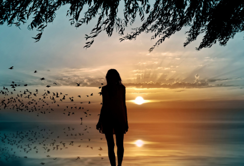 1690002960434067.png image.png