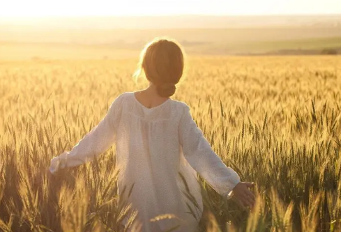 1690442032301353.png image.png