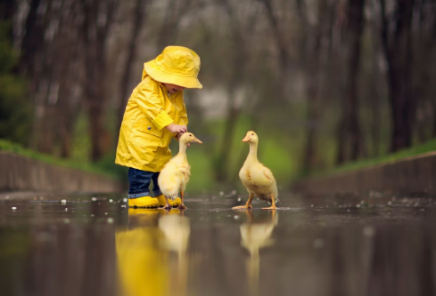 1691131327116330.png image.png