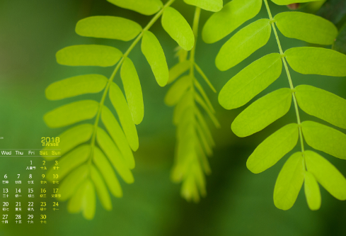 1692276894781665.png image.png