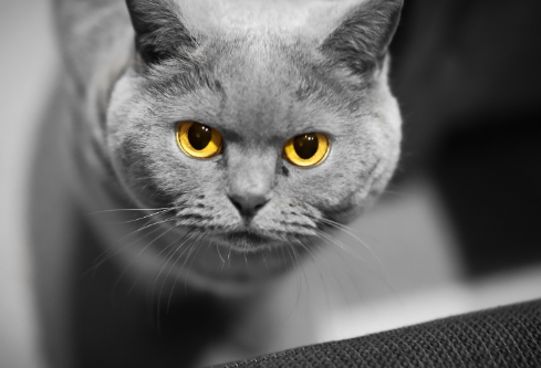 1692279880327487.png image.png