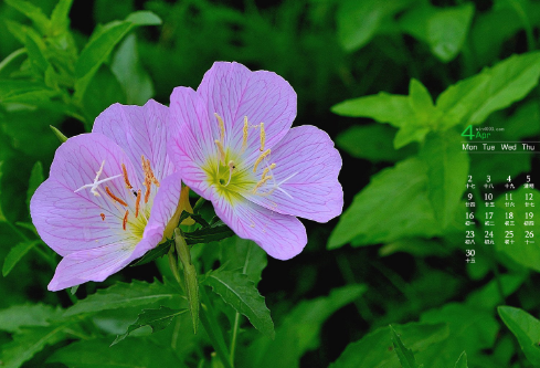 1692281703812777.png image.png