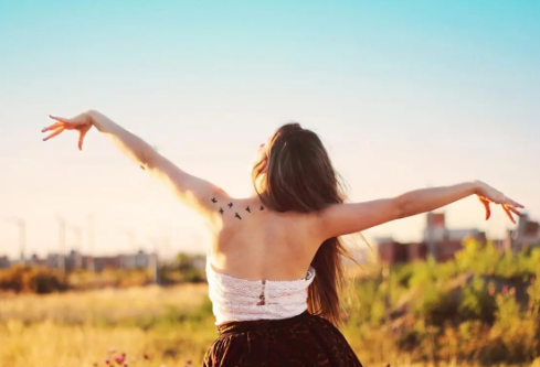 1692387859235861.png image.png