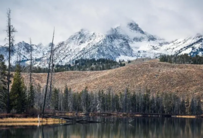 ​能吸引年轻人的店铺名字488个