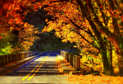 ​服装小店名字店名大全 服装名字取名大全时尚