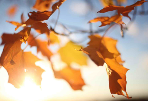 1692780252973759.png image.png