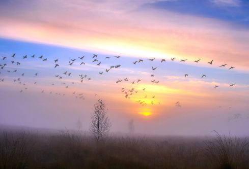 1692780916272970.png image.png