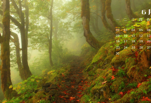 1692781414762285.png image.png