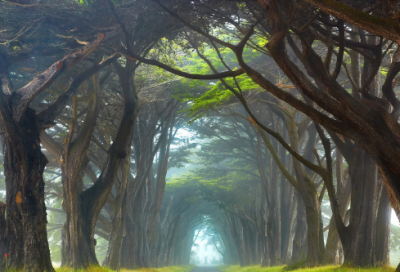 ​100个招财店铺名字大全 让人过目不忘的店名