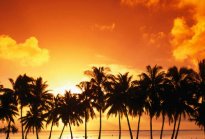 ​水果店取名有创意的名字大全428个