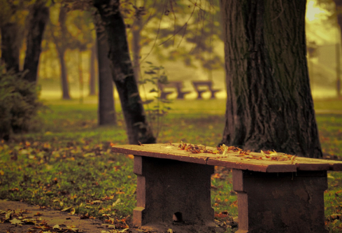 1692789254244622.png image.png