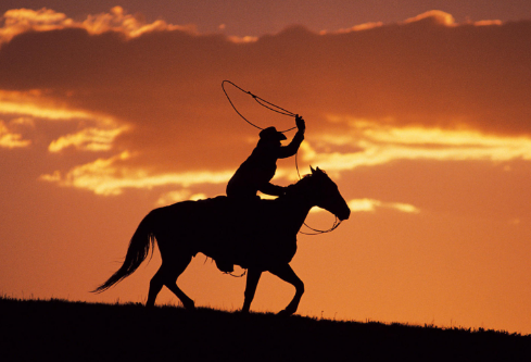 1692796732501066.png image.png