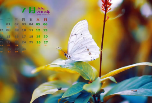 1692802238519319.png image.png