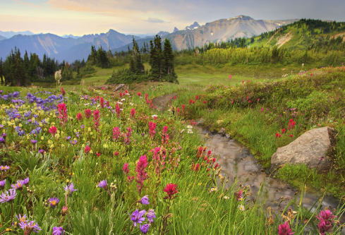 1692803567400212.png image.png